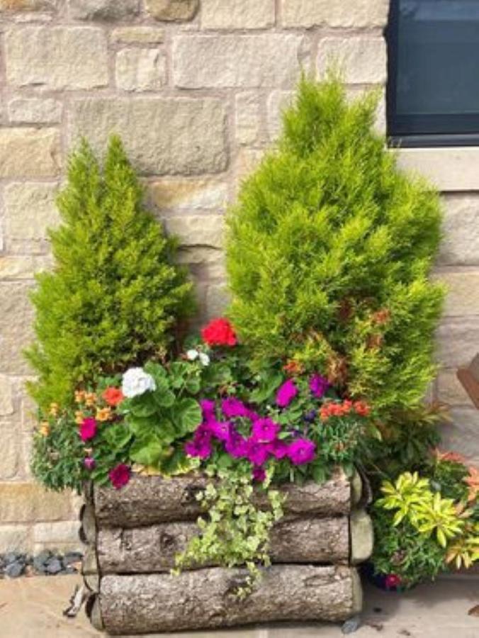 The Masons Arms Bed & Breakfast Norham Luaran gambar